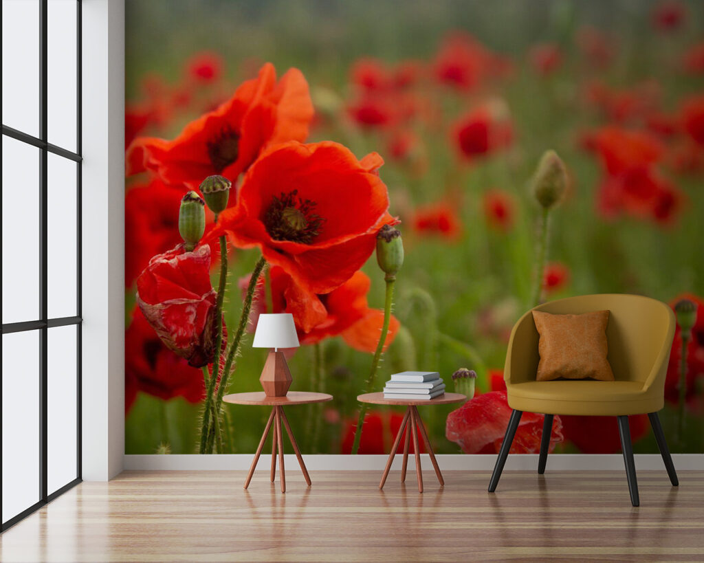 Champ de fleurs rouges u61697pig3 1024x819 - Champ de fleurs rouges - tegory