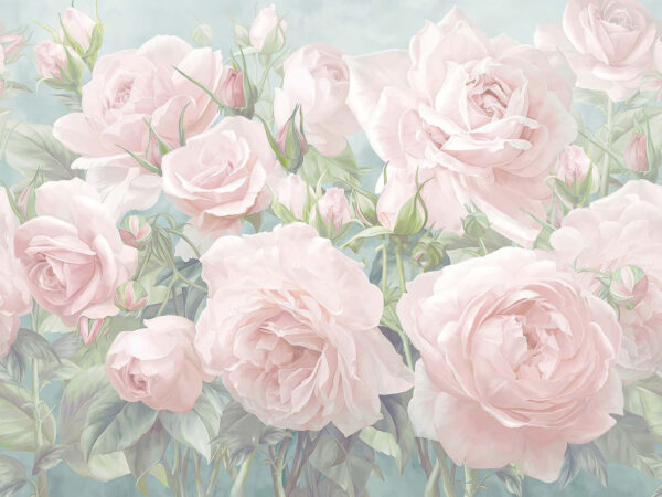Groupe de roses roses Groupe de roses roses