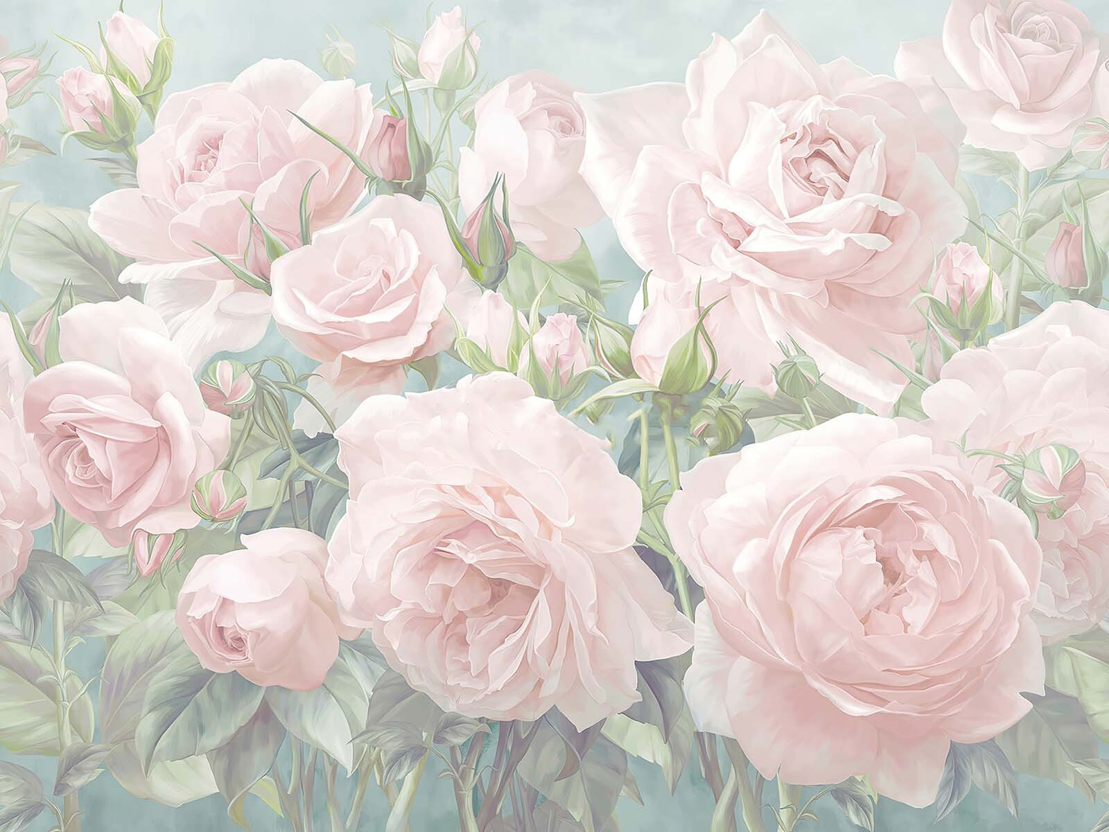 u61660p - Groupe de roses roses - tegory