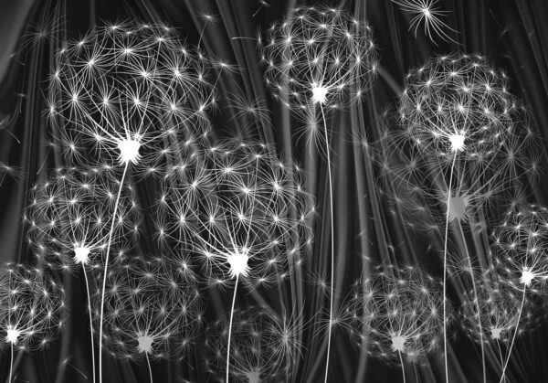 Graines délicates prêtes à se disperser Graines délicates prêtes à se disperser
