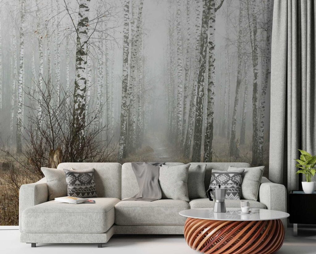 Path through a forest Path through a forest