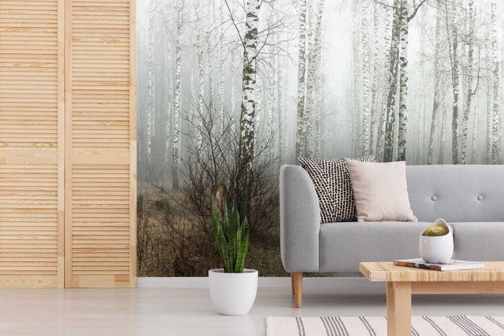 Path through a forest Path through a forest