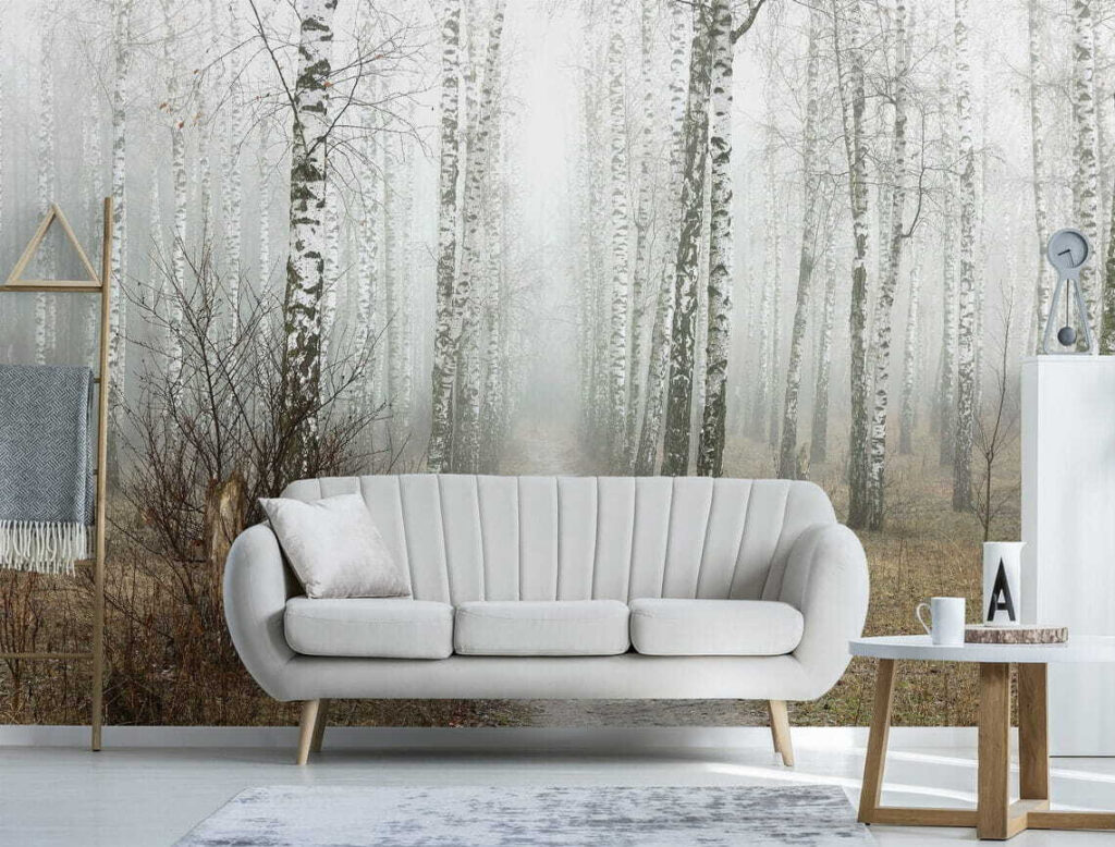 Path through a forest Path through a forest