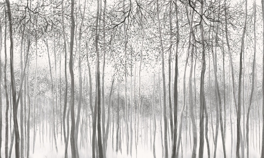 Groupe d'arbres dans une forêt enneigée Groupe d'arbres dans une forêt enneigée
