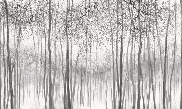 Groupe d'arbres dans une forêt enneigée Groupe d'arbres dans une forêt enneigée