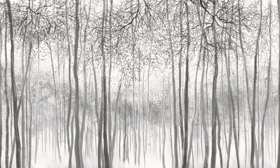 Groupe d'arbres dans une forêt enneigée Groupe d'arbres dans une forêt enneigée