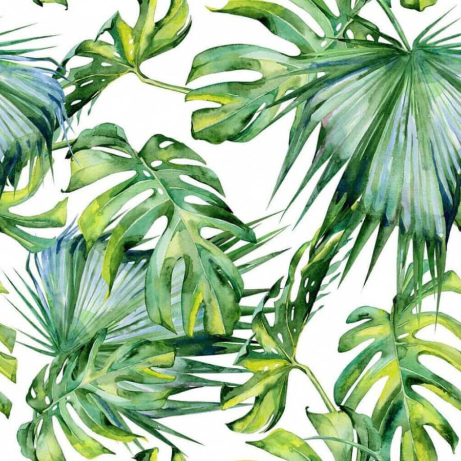 Papier peint Gros plan sur les feuilles – Image 3