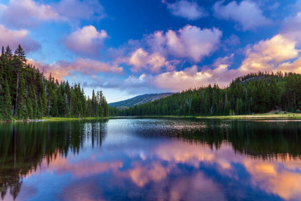 Lac entouré d'arbres et de montagnes u58610p 600x400 - Lac entouré d'arbres et de montagnes - tegory