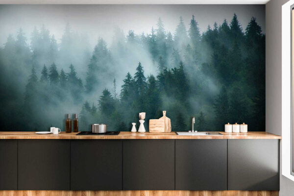 Forêt brumeuse avec des arbres Forêt brumeuse avec des arbres