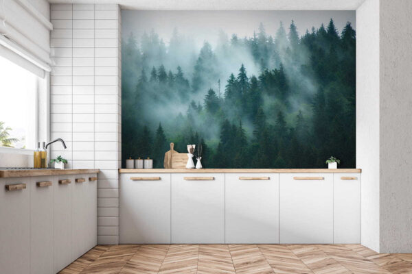 Forêt brumeuse avec des arbres Forêt brumeuse avec des arbres