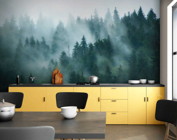 Forêt brumeuse avec des arbres Forêt brumeuse avec des arbres