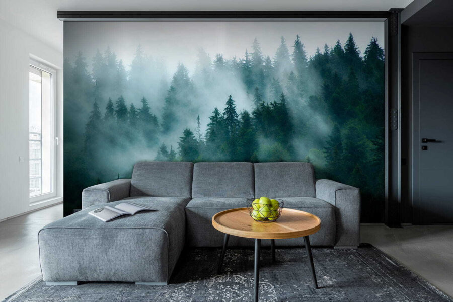 Forêt brumeuse avec des arbres Forêt brumeuse avec des arbres