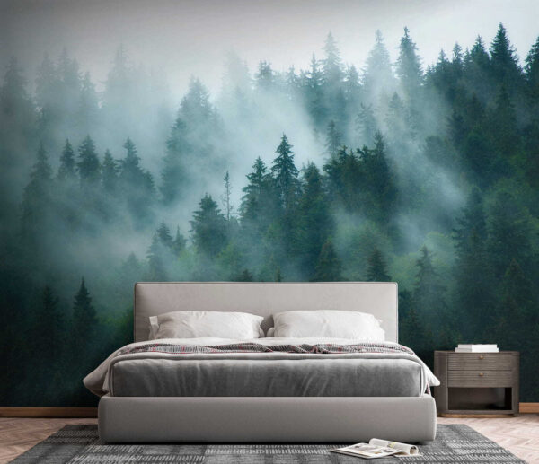 Forêt brumeuse avec des arbres Forêt brumeuse avec des arbres