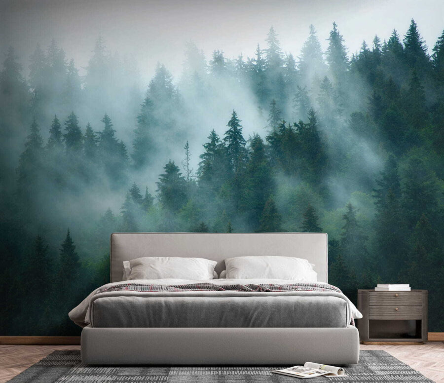 Forêt brumeuse avec des arbres Forêt brumeuse avec des arbres