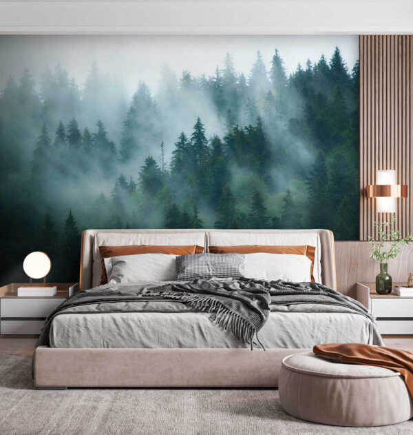 Forêt brumeuse avec des arbres Forêt brumeuse avec des arbres