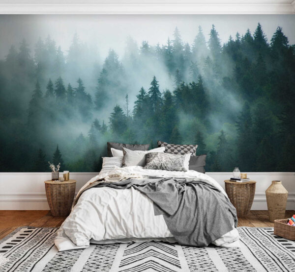 Forêt brumeuse avec des arbres Forêt brumeuse avec des arbres
