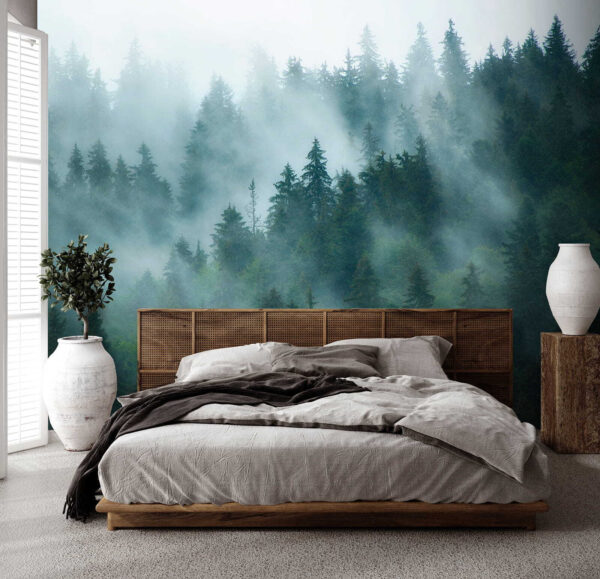 Forêt brumeuse avec des arbres Forêt brumeuse avec des arbres