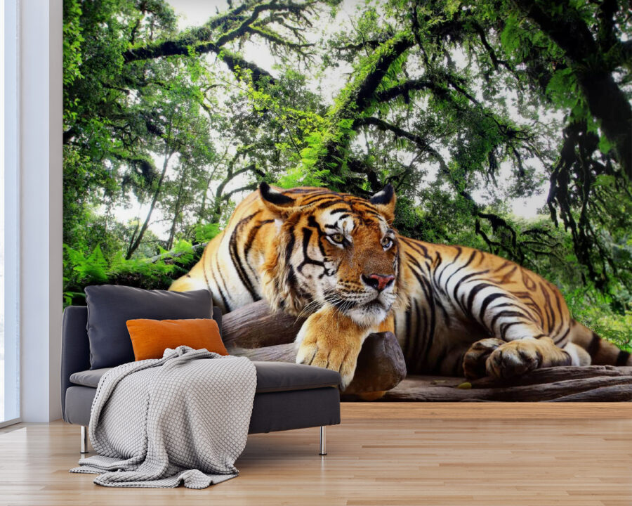 Tigre couché sur un tronc