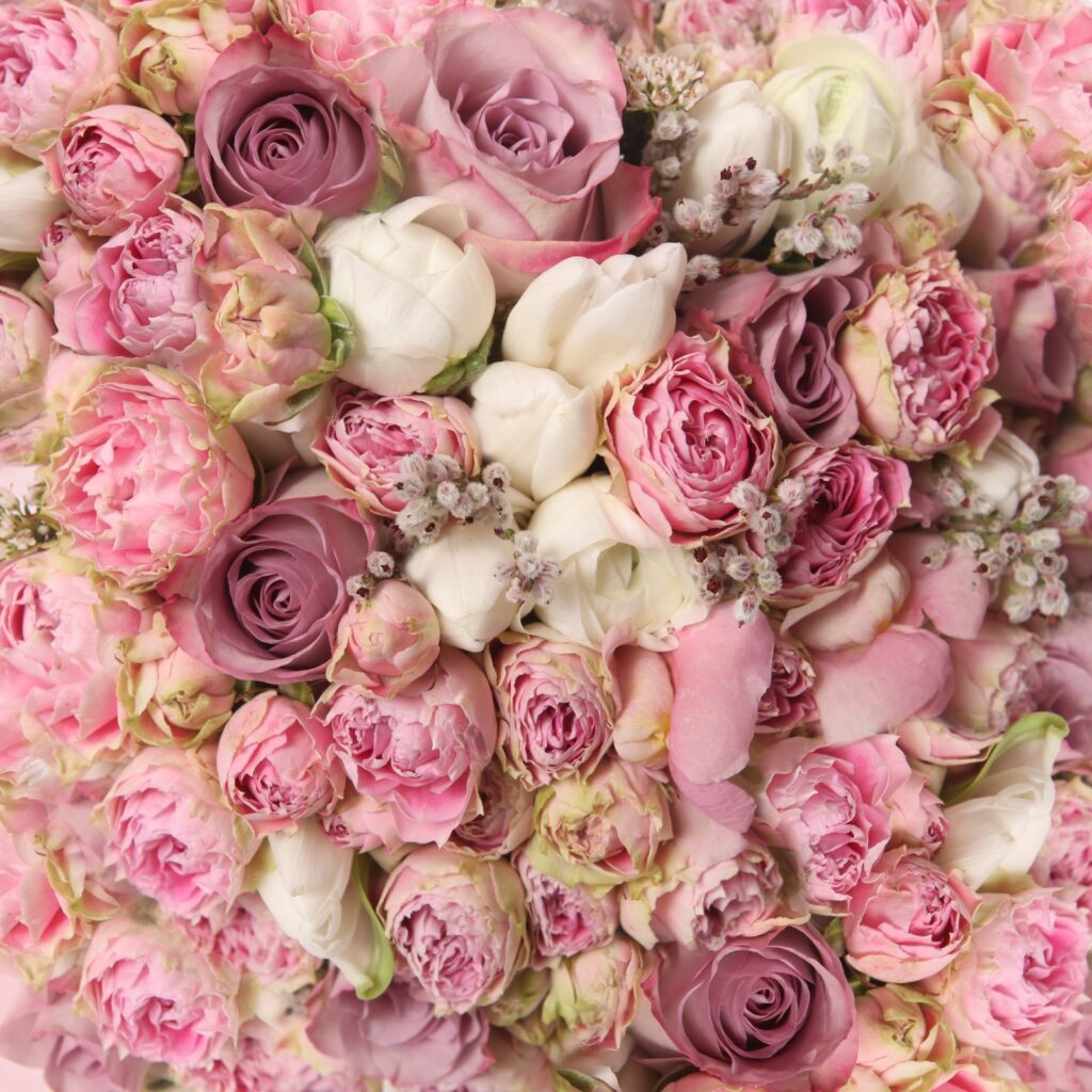 Joli bouquet de roses roses u57795p 1024x1024 - Joli bouquet de roses roses - tegory