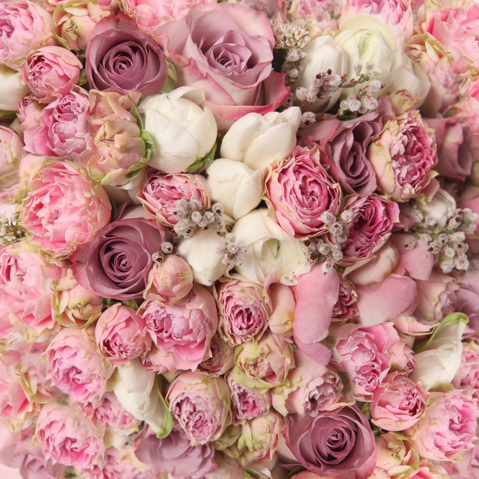 Joli bouquet de roses roses u57795p - Joli bouquet de roses roses - tegory