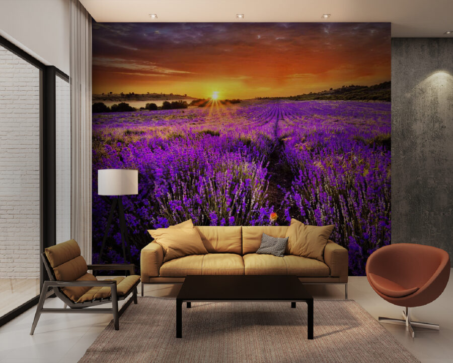 Champ de fleurs violettes