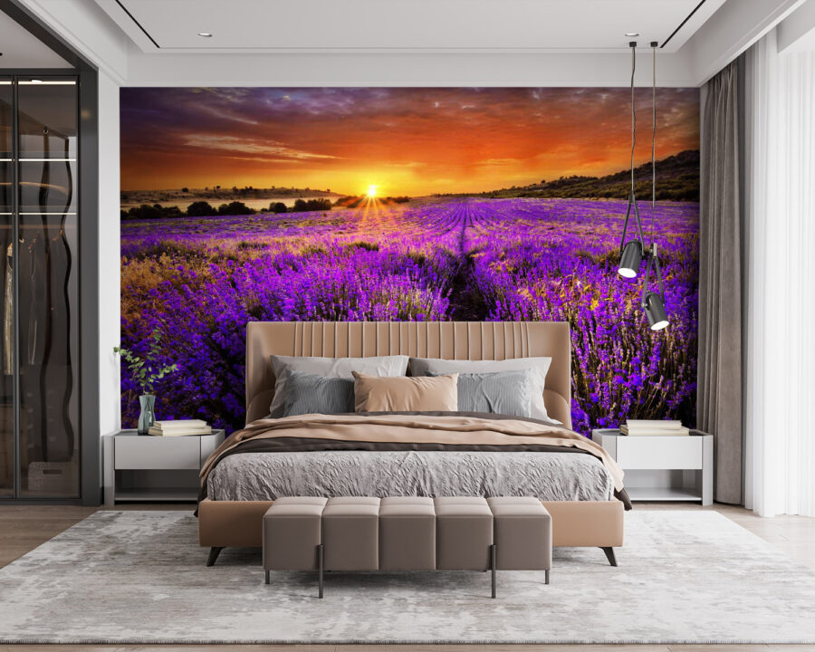 Champ de fleurs violettes