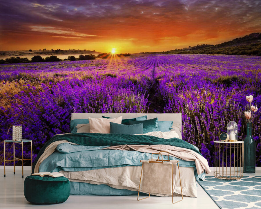 Champ de fleurs violettes