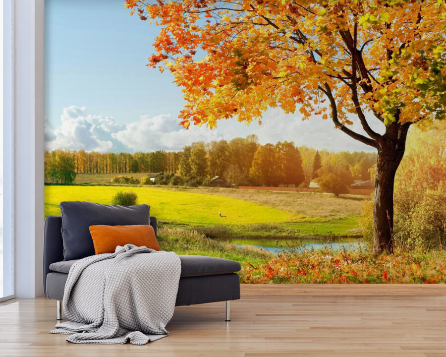 Arbre avec des feuilles d'oranger dans un champ