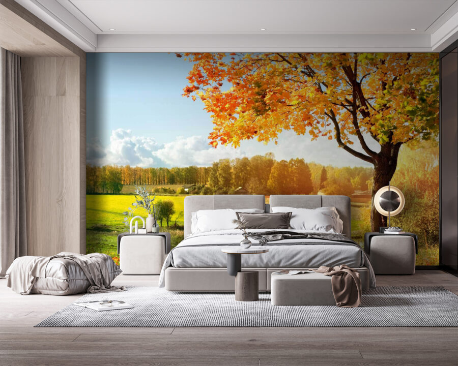Arbre avec des feuilles d'oranger dans un champ