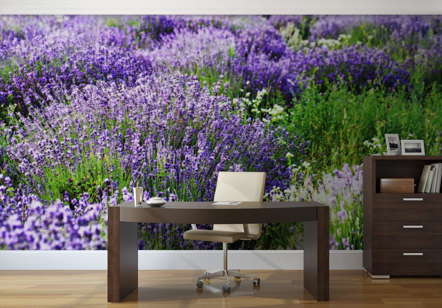 Champ de fleurs violettes