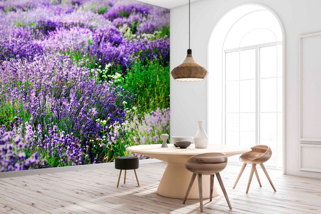 Champ de fleurs violettes u57293pik1m 1024x683 - Champ de fleurs violettes - tegory