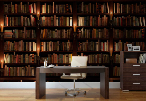 Grande bibliothèque remplie de livres Grande bibliothèque remplie de livres