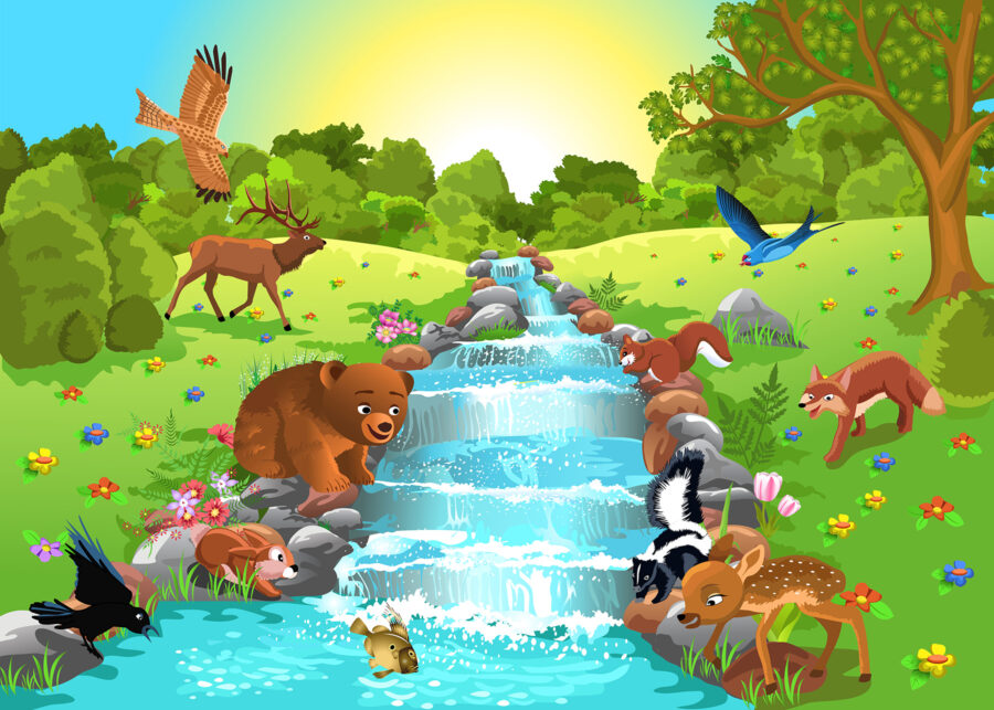 Caricature d'animaux dans un ruisseau u55792p 900x643 - Caricature d'animaux dans un ruisseau - tegory