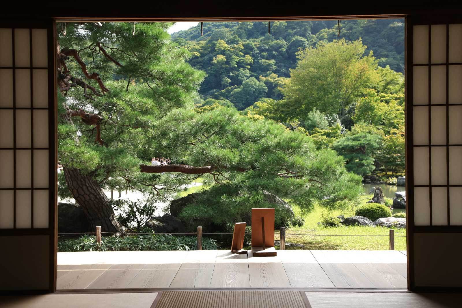 u55780p - Vue d'une forêt depuis une chambre - tegory