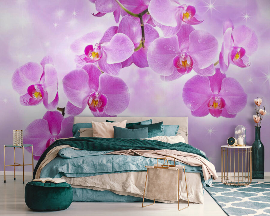 Orchidées délicates aux teintes douces