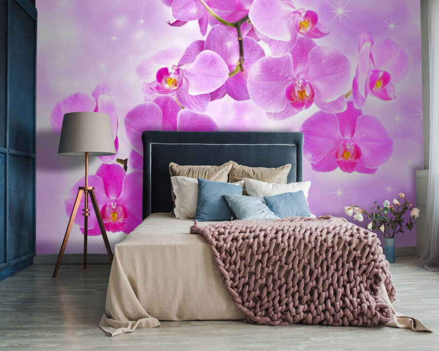 Orchidées délicates aux teintes douces
