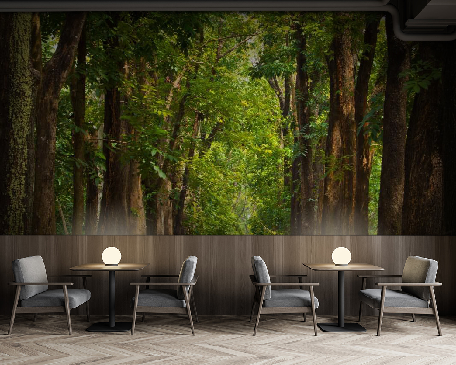 u55418piz137m - Chemin avec des arbres sur le côté - tegory