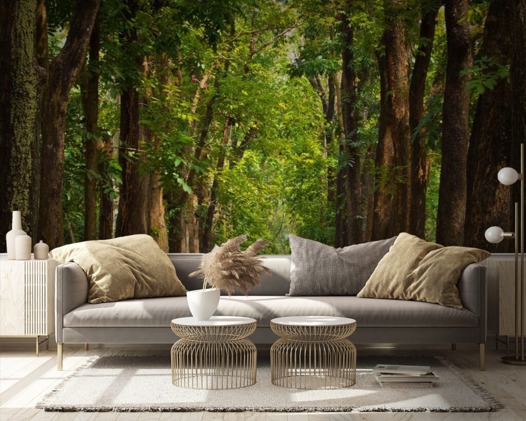 u55418pig9 1024x819 - Chemin avec des arbres sur le côté - tegory