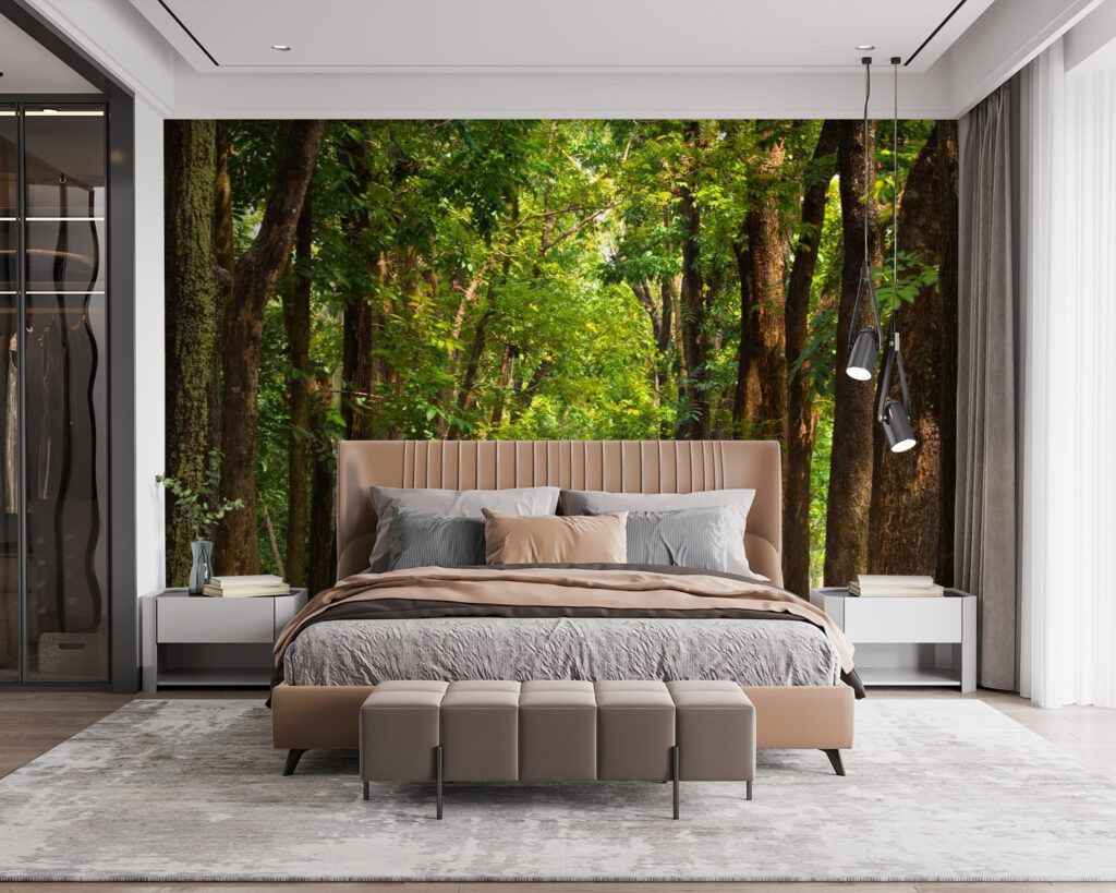 u55418pib115 1024x819 - Chemin avec des arbres sur le côté - tegory