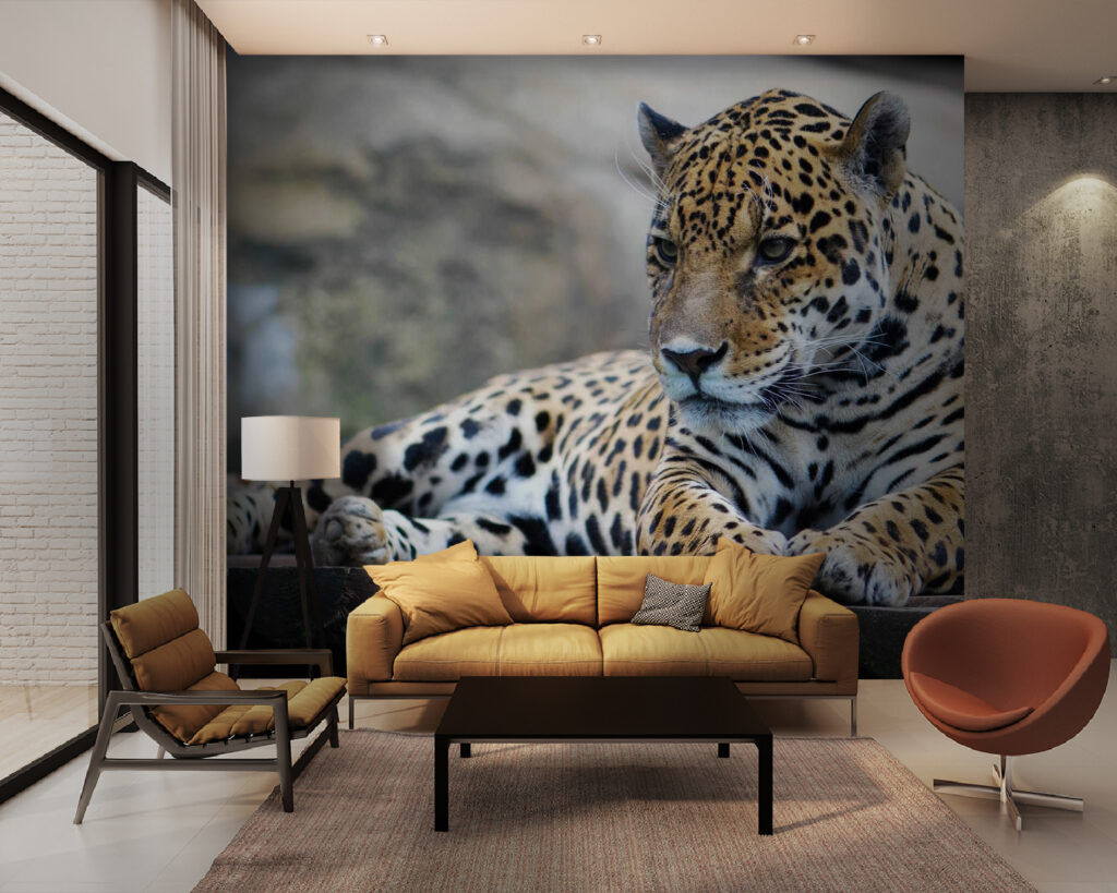 u55313pig28m 1024x819 - Léopard couché sur une surface en bois - tegory