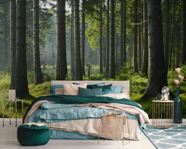 Forêt avec de grands arbres et de l'herbe Forêt avec de grands arbres et de l'herbe