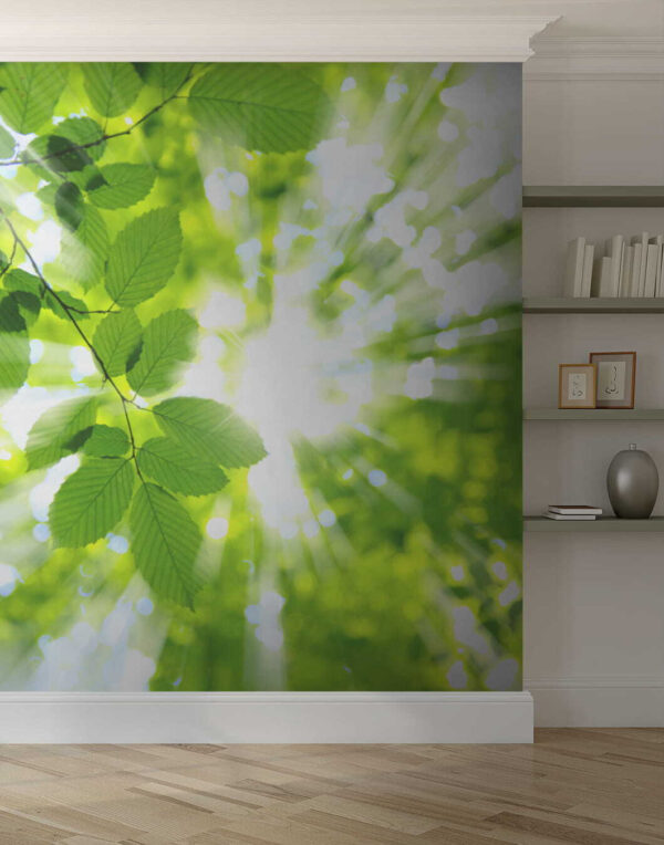 Le soleil brille à travers les feuilles Le soleil brille à travers les feuilles