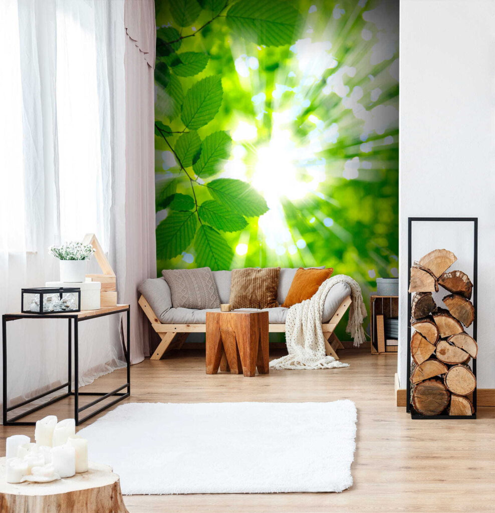 Sun shining through leaves