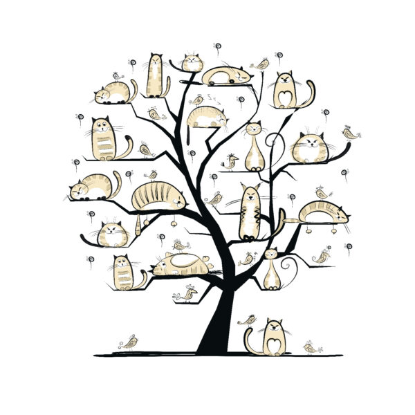 Arbre avec des chats dessus Arbre avec des chats dessus