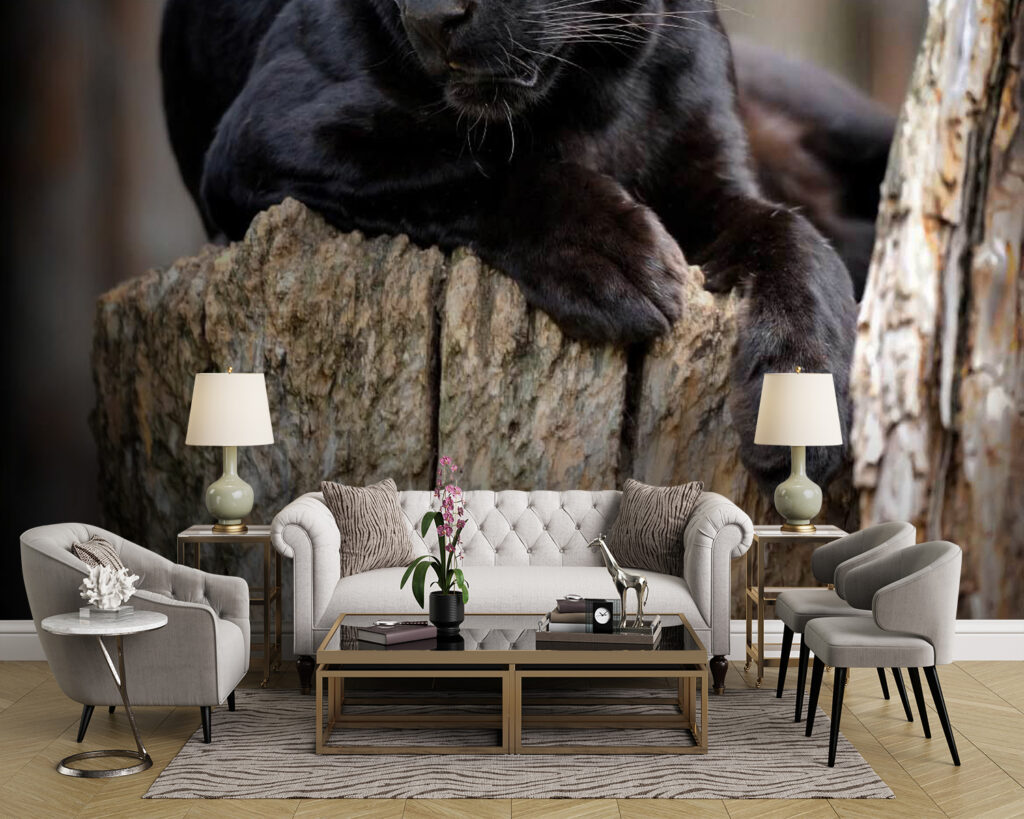 u54741pig43m 1024x819 - Panthère noire couchée sur une souche d'arbre - tegory