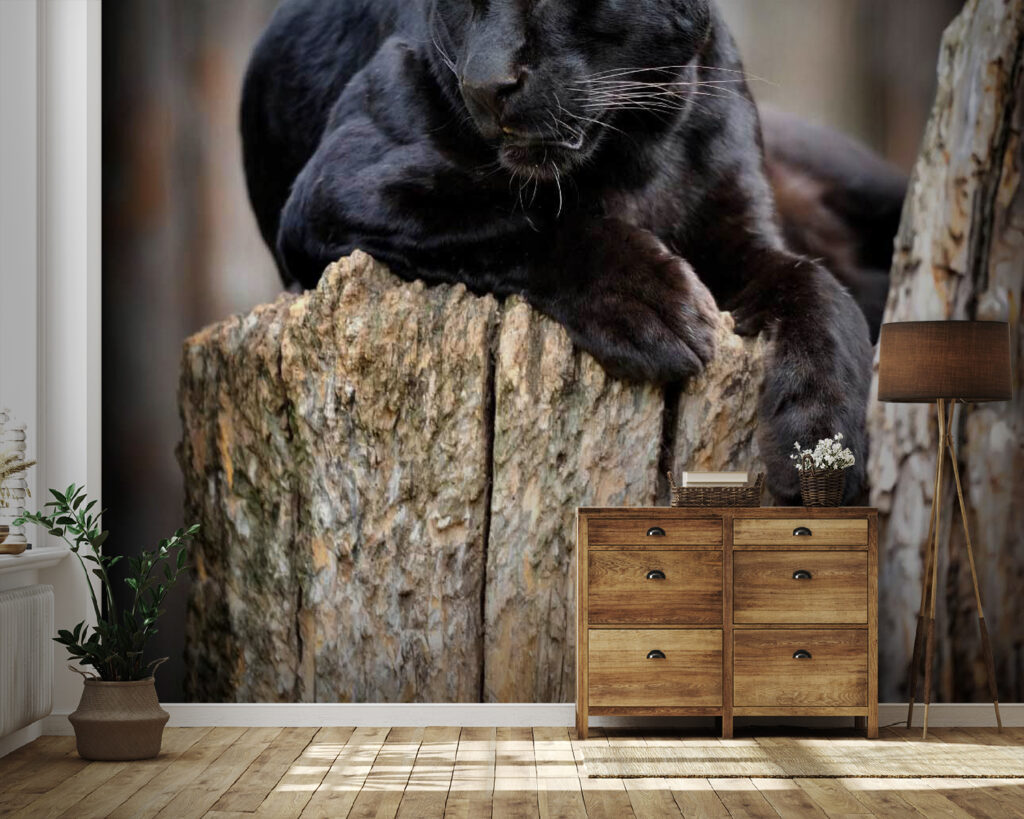 u54741pig41 1024x819 - Panthère noire couchée sur une souche d'arbre - tegory