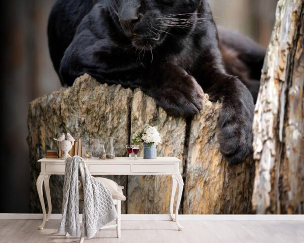 Panthère noire couchée sur une souche d'arbre Panthère noire couchée sur une souche d'arbre