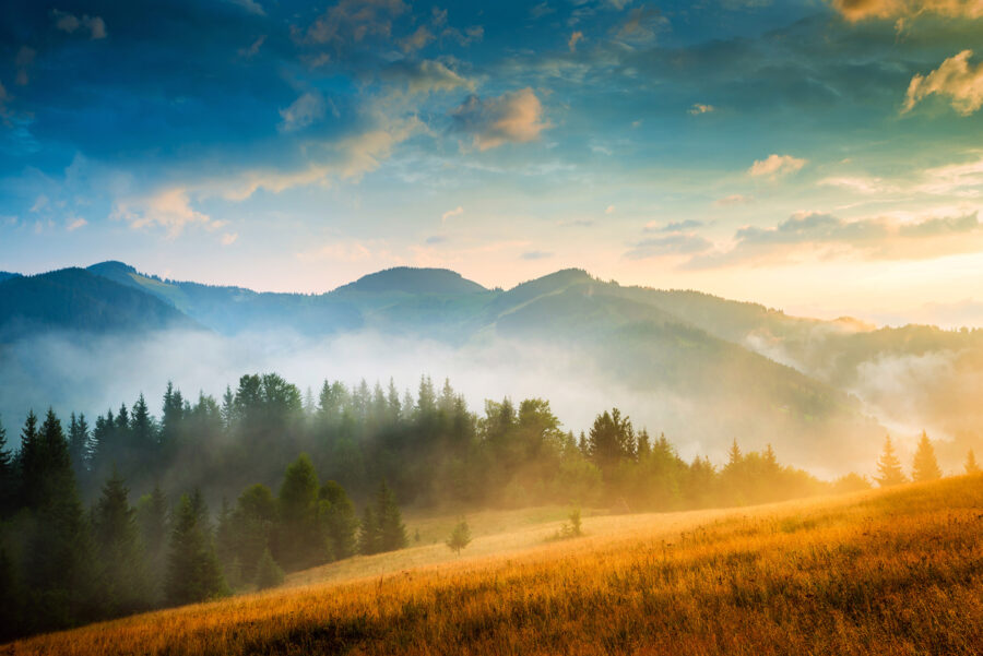 Paysage avec arbres et montagnes