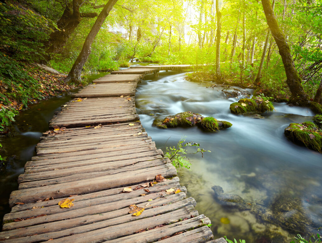 Pont en bois au-dessus d'une rivière Pont en bois au-dessus d'une rivière