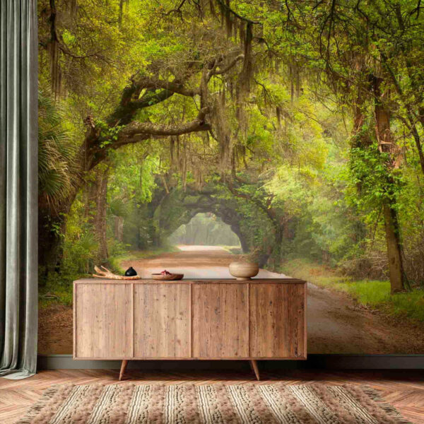 Chemin de terre avec arbres et branches moussues u54614pih1 600x600 - Chemin de terre avec arbres et branches moussues - tegory